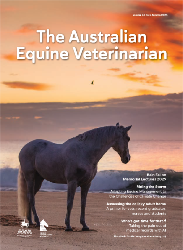 Australian Equine Veterinarian Image