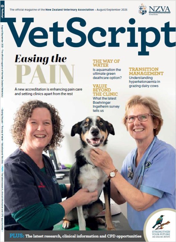 VetScript Image
